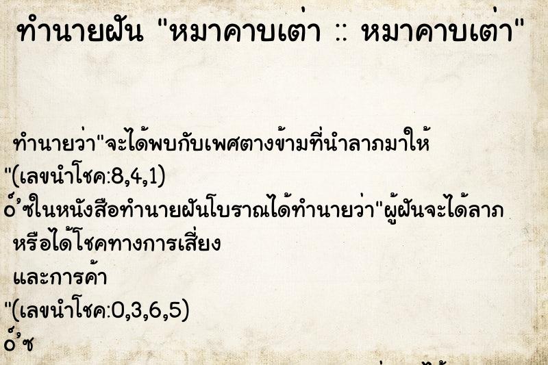 ทำนายฝันหมาคาบเต่า::หมาคาบเต่า ทำนายฝันทำนายฝันหมาคาบเต่า::หมาคาบเต่า